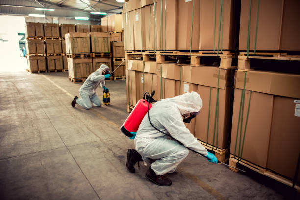 Best Local Pest Control Services  in Fairview Park, IN