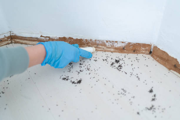 Pest Control for Restaurants in Fairview Park, IN